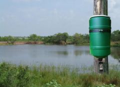 Dock Post Mount Fish Feeder w/ On Time Elite Fish Motor