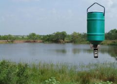 Hanging Fish Feeder w/ On Time Elite Fish Motor